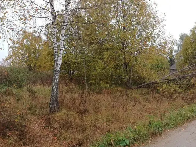 Фото: Единый портал торгов Московской области ЕАСУЗ