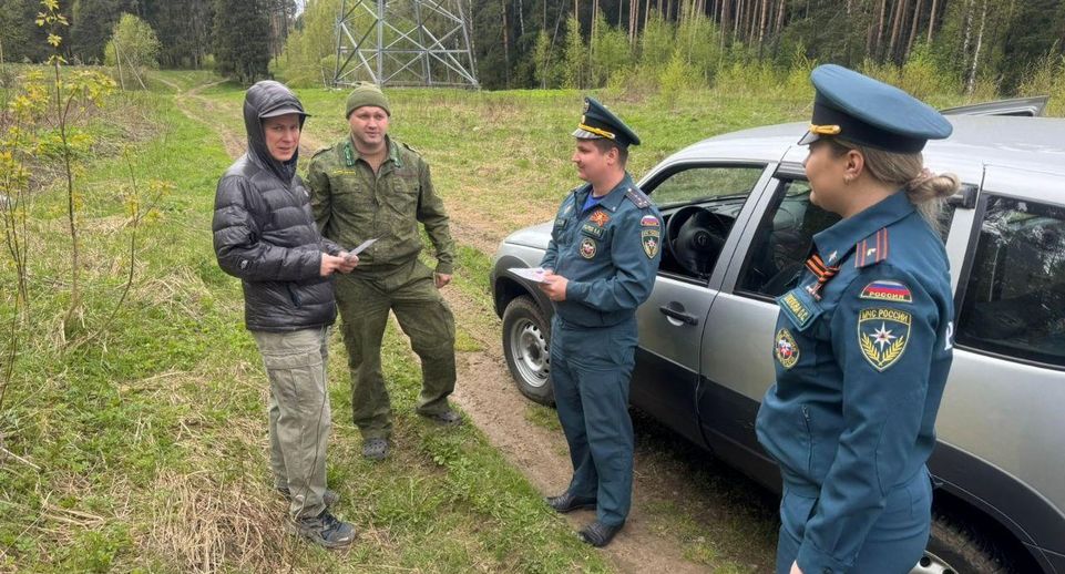 Лесная охрана Подмосковья провела почти 1,5 тысячи патрулирований за неделю