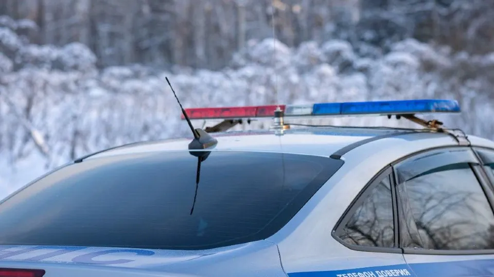 Фото: Госавтоинспекция Московской области