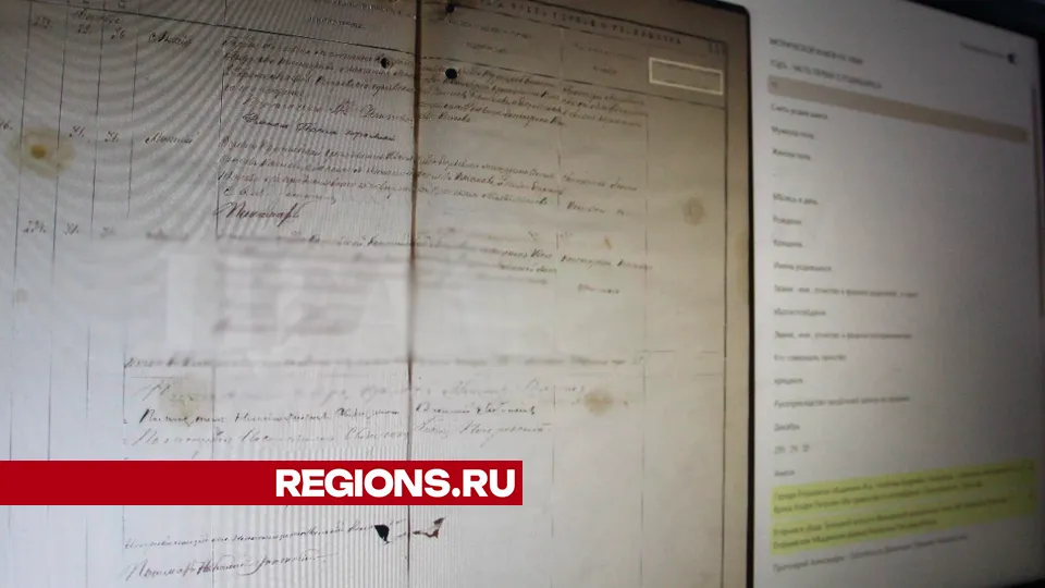 Фото: REGIONS/Василий Тремасов