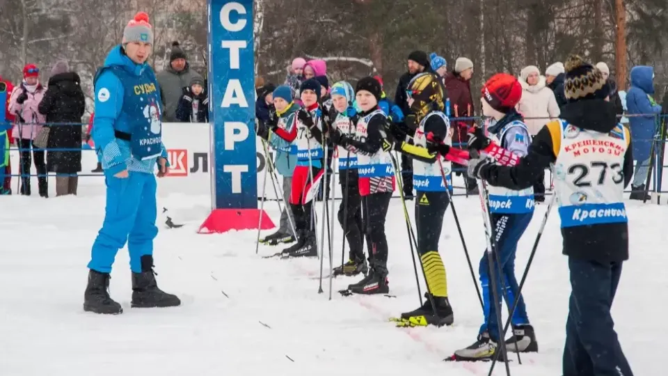 Фото: пресс-служба администрации г.о. Красногорск