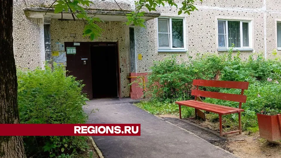 Фото: Евгений Рой