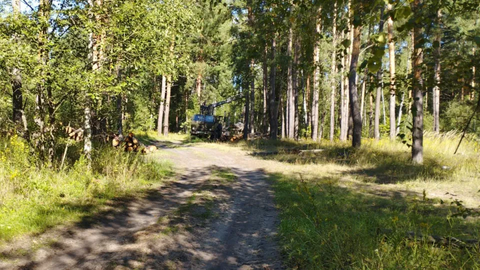 Фото: Маливское лесничество