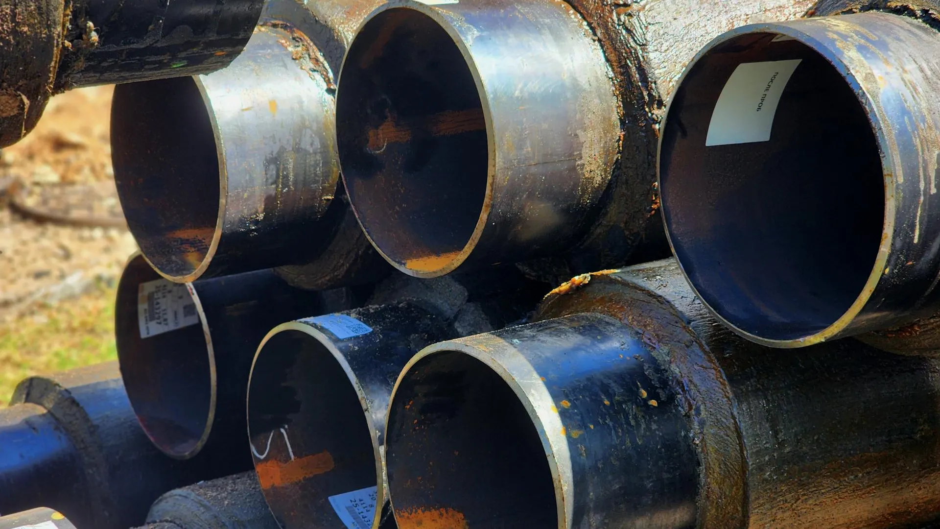 Фото: Полина Пахомова