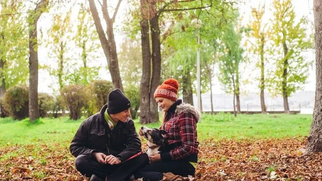 Фото: freepik.com