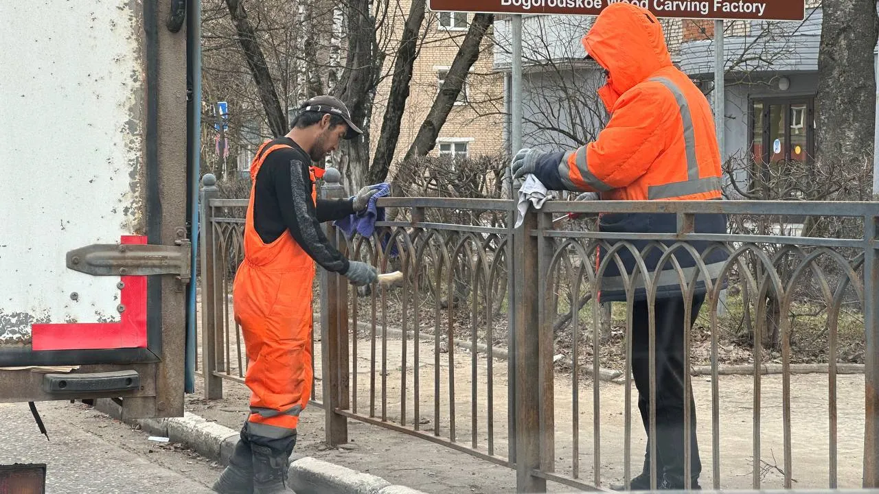 Фото: пресс-служба администрации Сергиево-Посадского г.о.