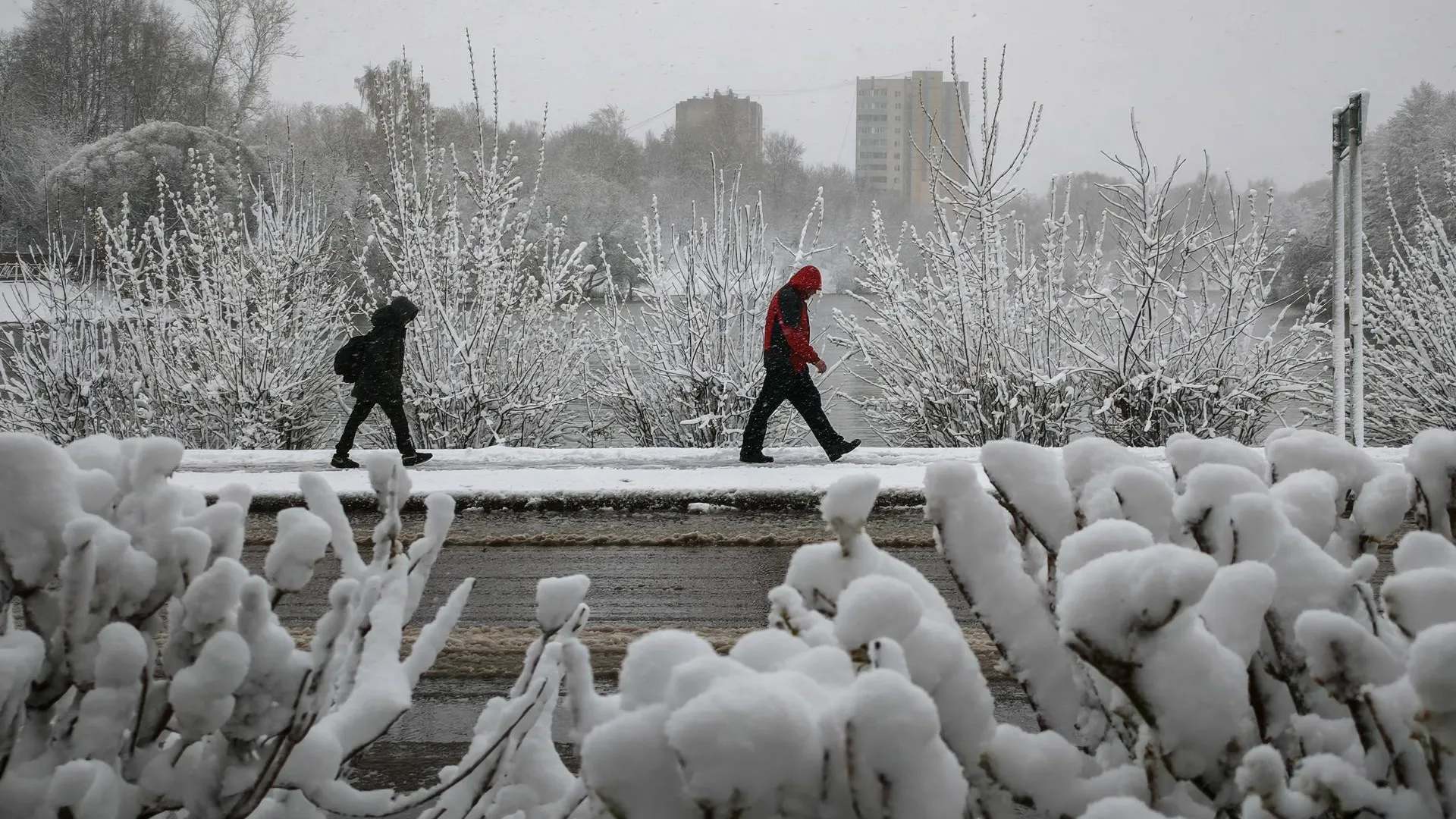 Belkin Alexey/news.ru