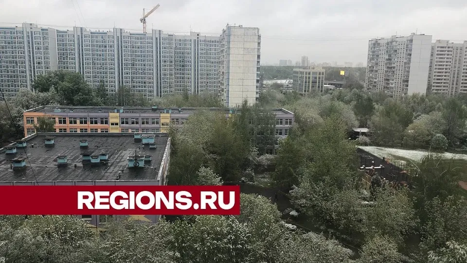 Фото: REGIONS/Дарья Назарова
