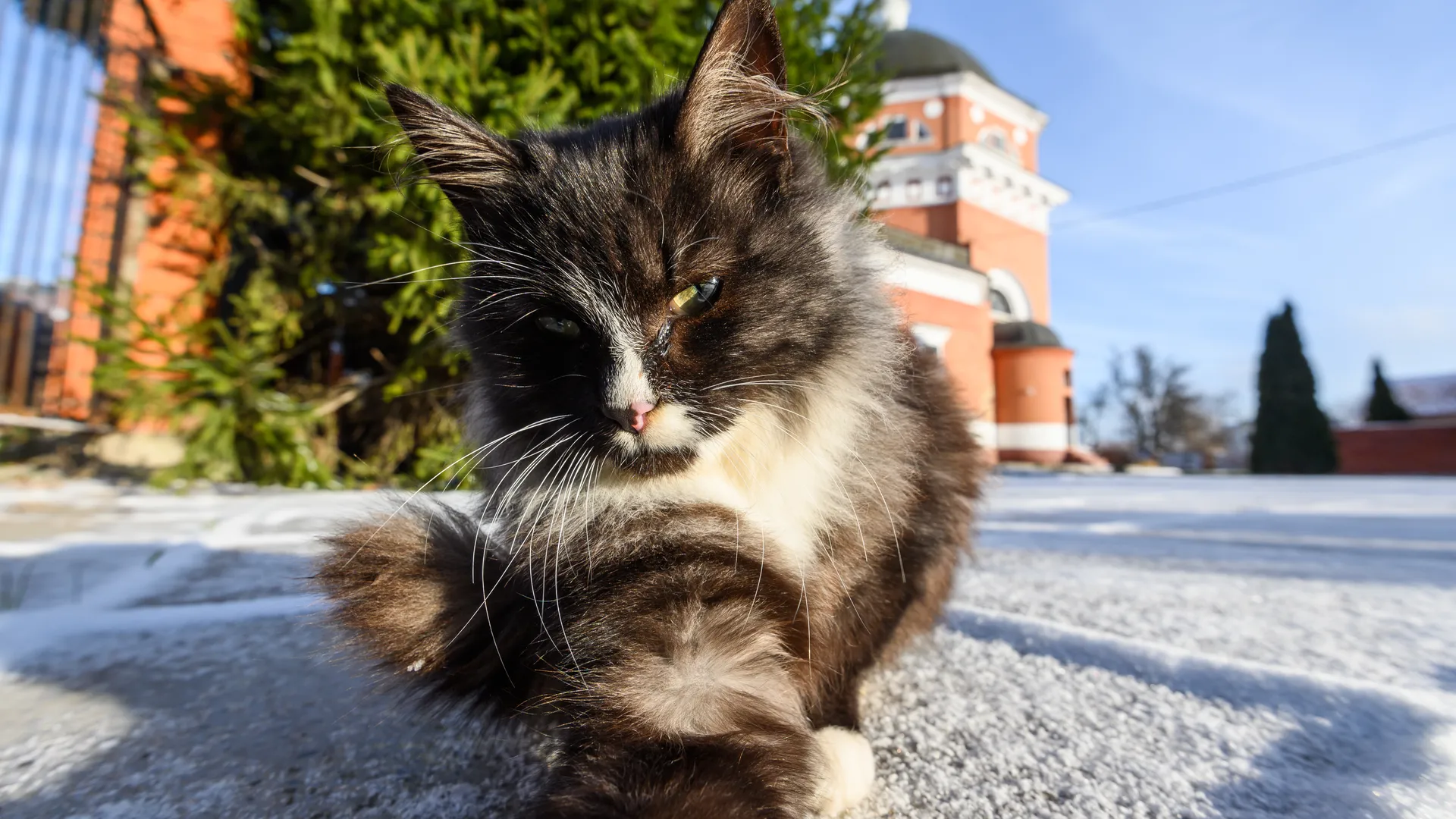 медиасток.рф