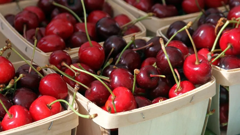 Фото: istockphoto.com