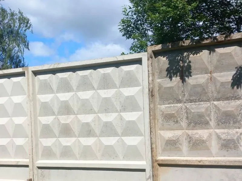 Фото: пресс-служба Олега Рожнова&nbsp;&nbsp;