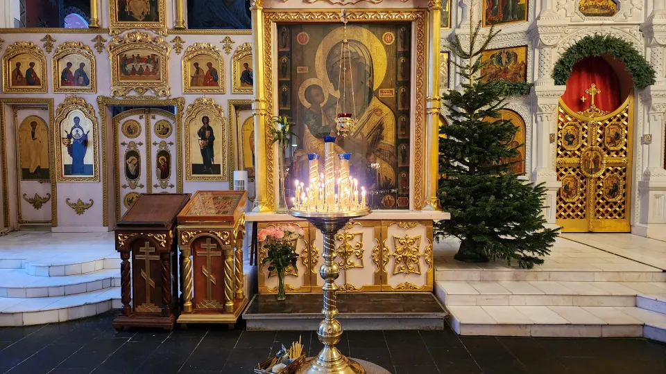 Фото: МедиаБанк Подмосковья/Ирина Моисеева