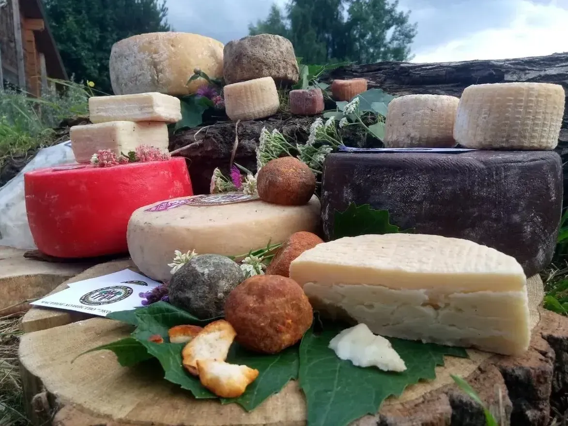 Фото: сыр из ЧХ «Эко-Град» / Сергей Савиных