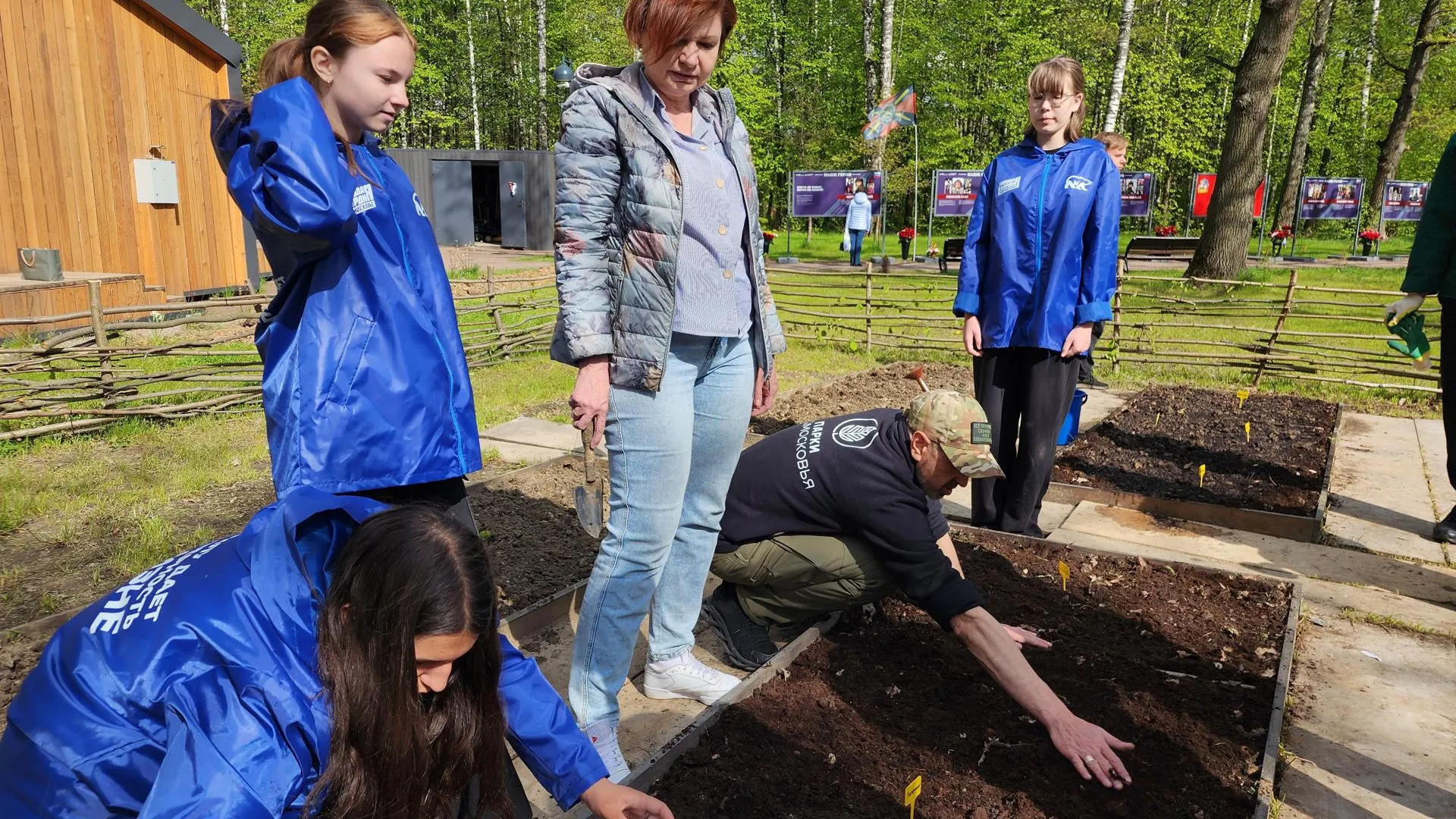 Во Фрязине волонтеры и работники леспопарка посадили аптекарский огород. Фото: REGIONS/Наталья Дорошева