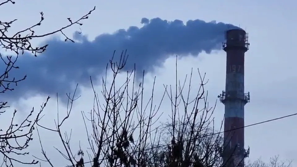 Фото: Дмитрий Алексеенко