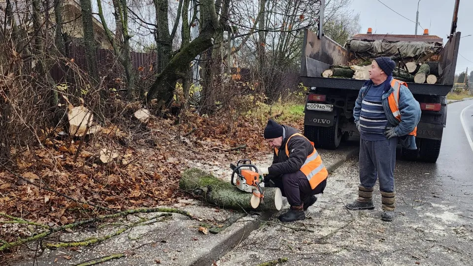 Фото: МедиаБанк Подмосковья/Дмитрий Беденко