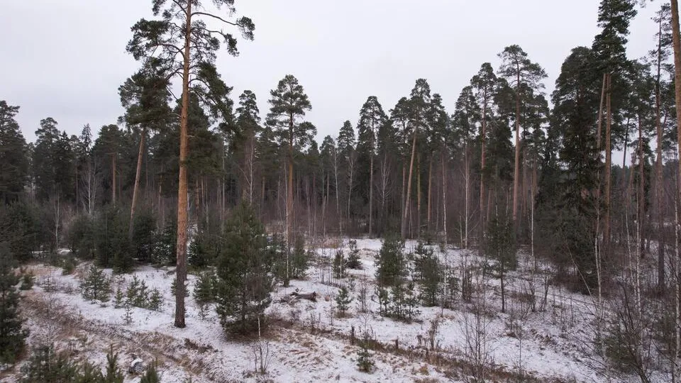 Фото: ООО «888»