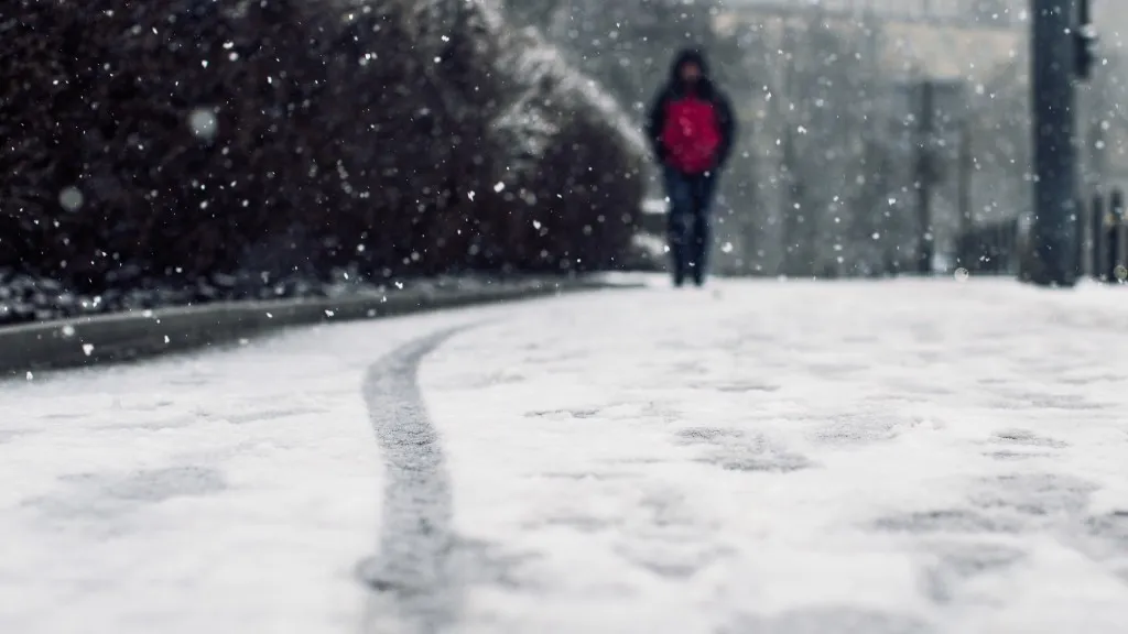 Фото: freepik.com