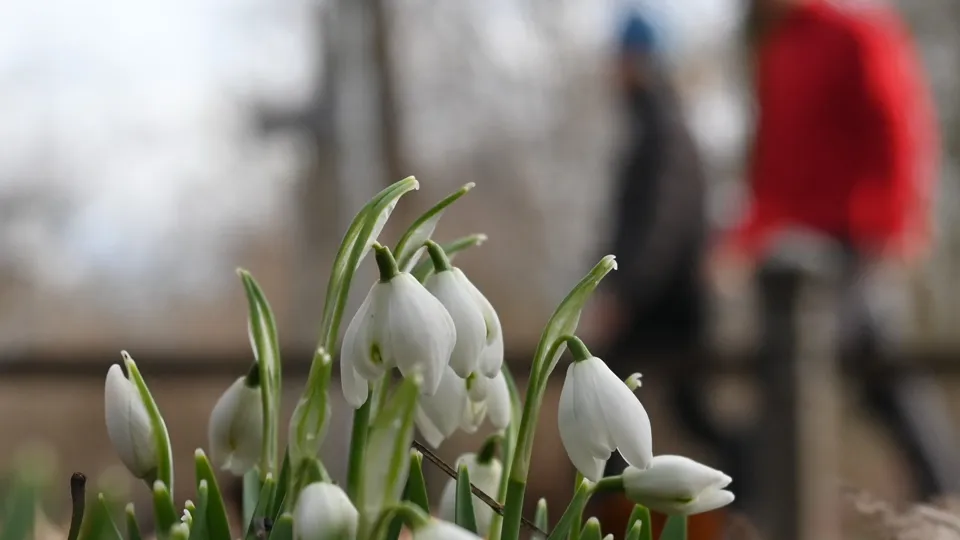 Фото: TASS/DPA/Katrin Requadt