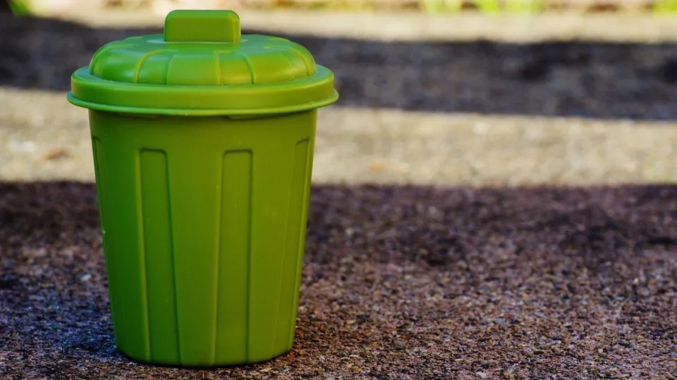 Фото: pxhere.com