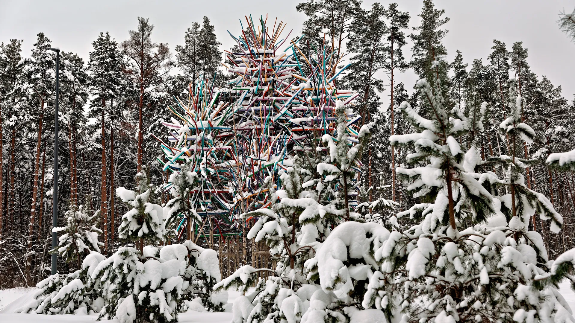 Арт-объект «Супрематический лес» Николая Полисского в парке Малевича Одинцовского округа