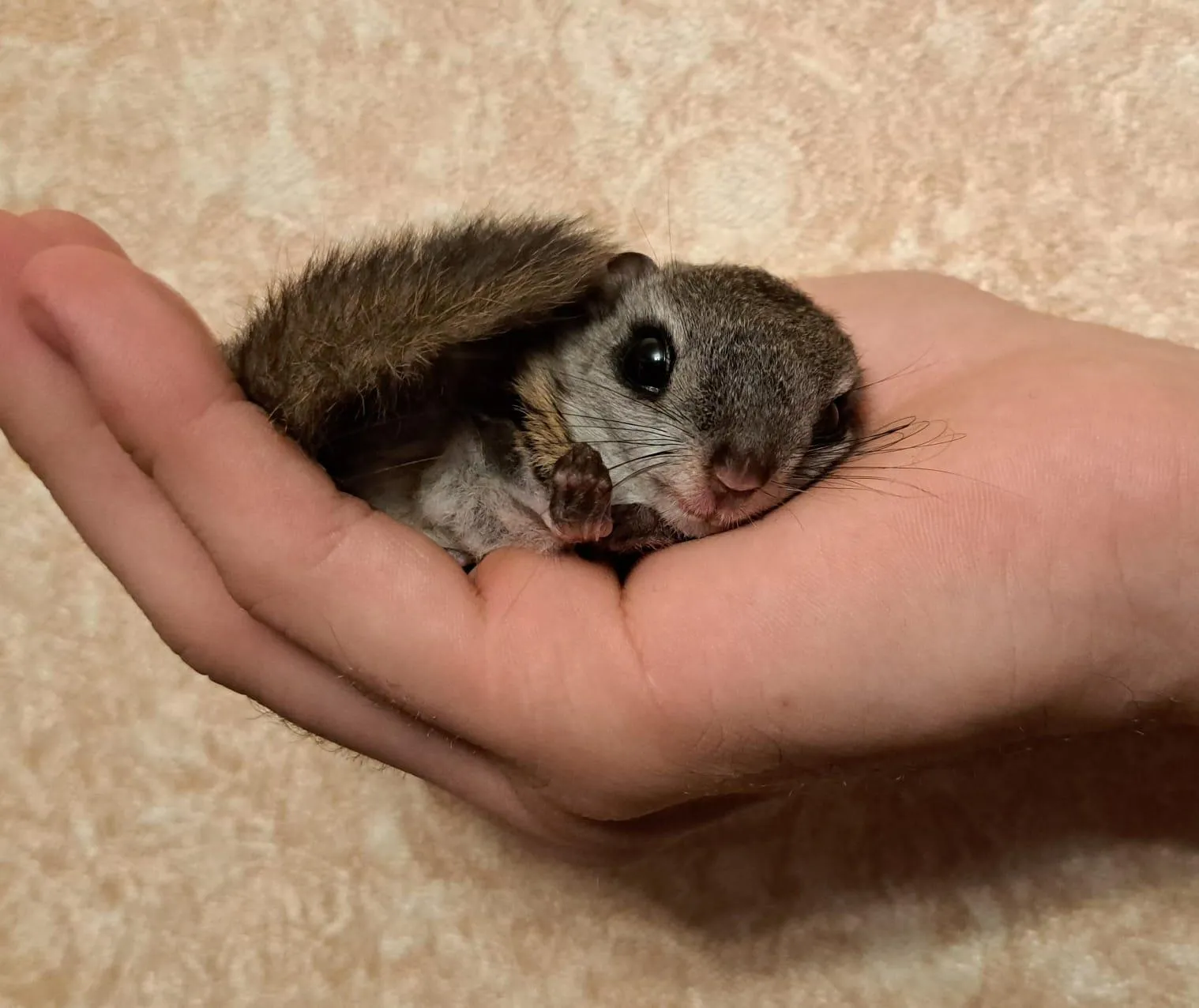 Мария Шматкова