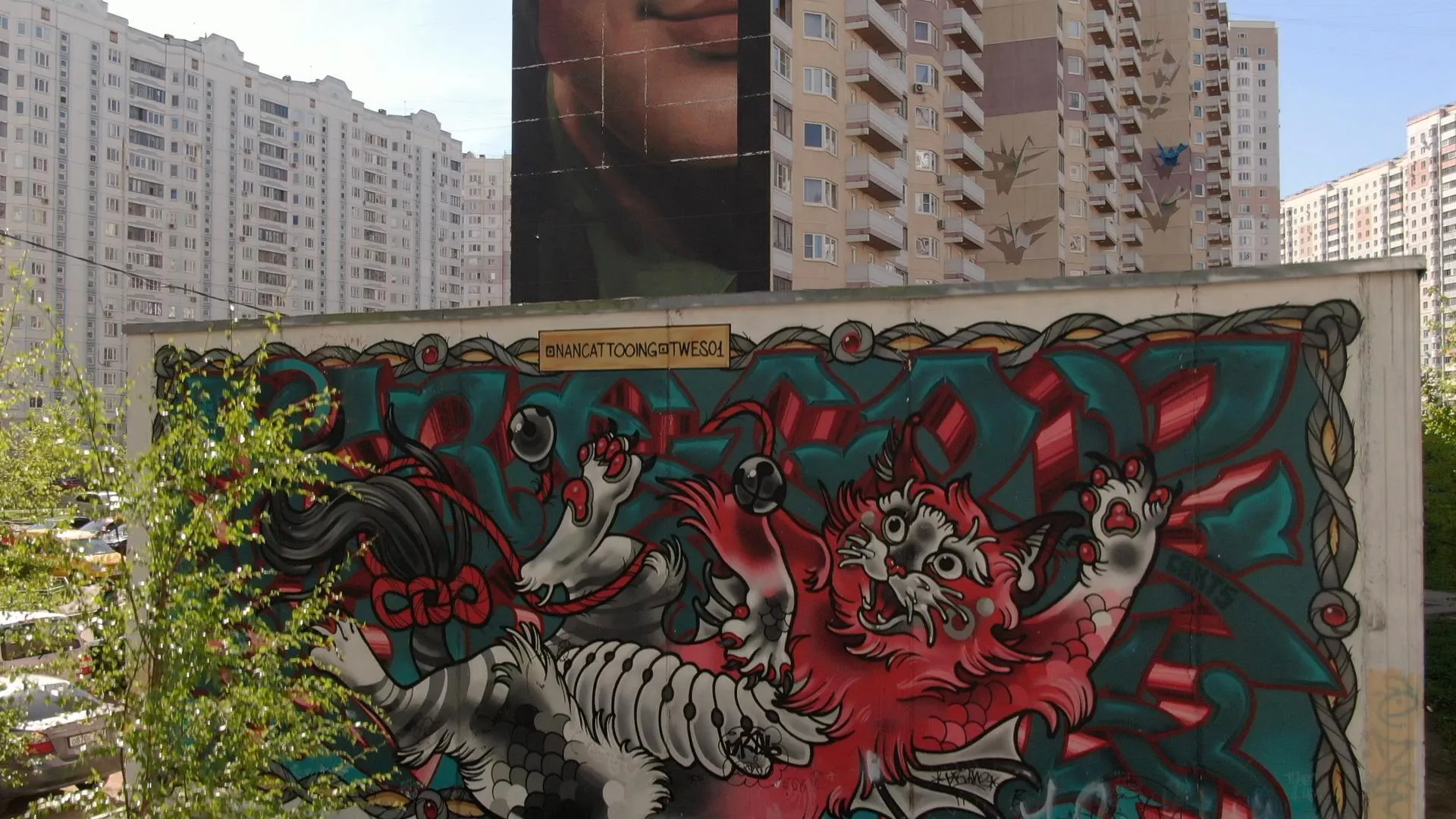 Ксения Борцова