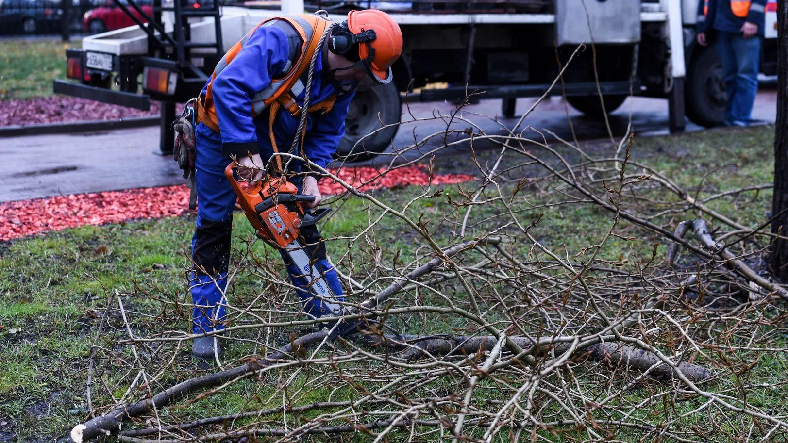 медиасток.рф