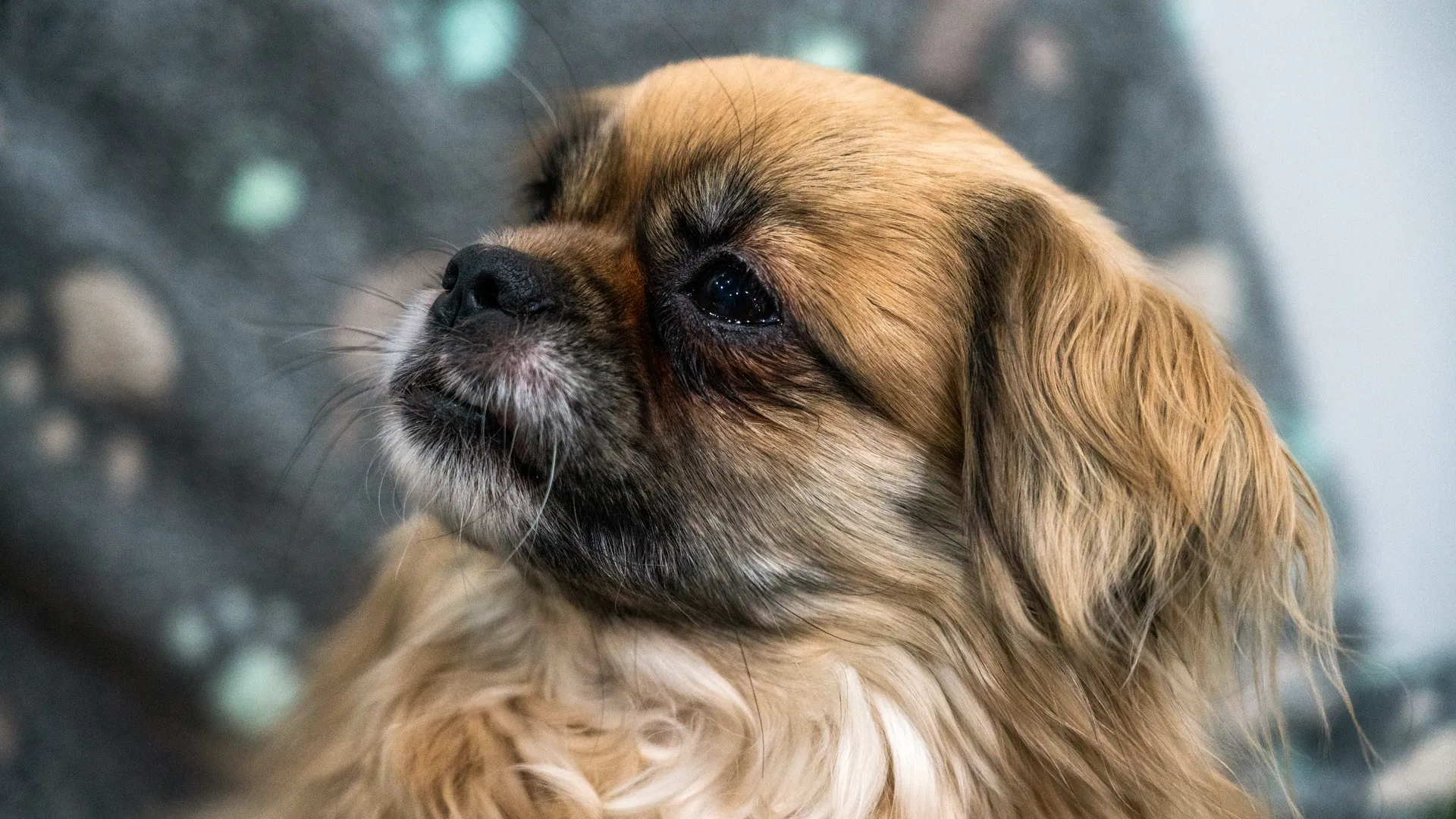 медиасток.рф