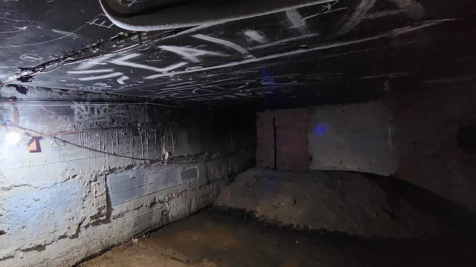 Фото: МедиаБанк Подмосковья/Анна Мороз