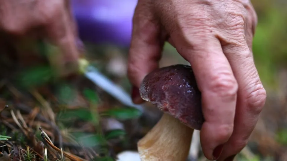 Фото: РИА Новости/Александр Кряжев