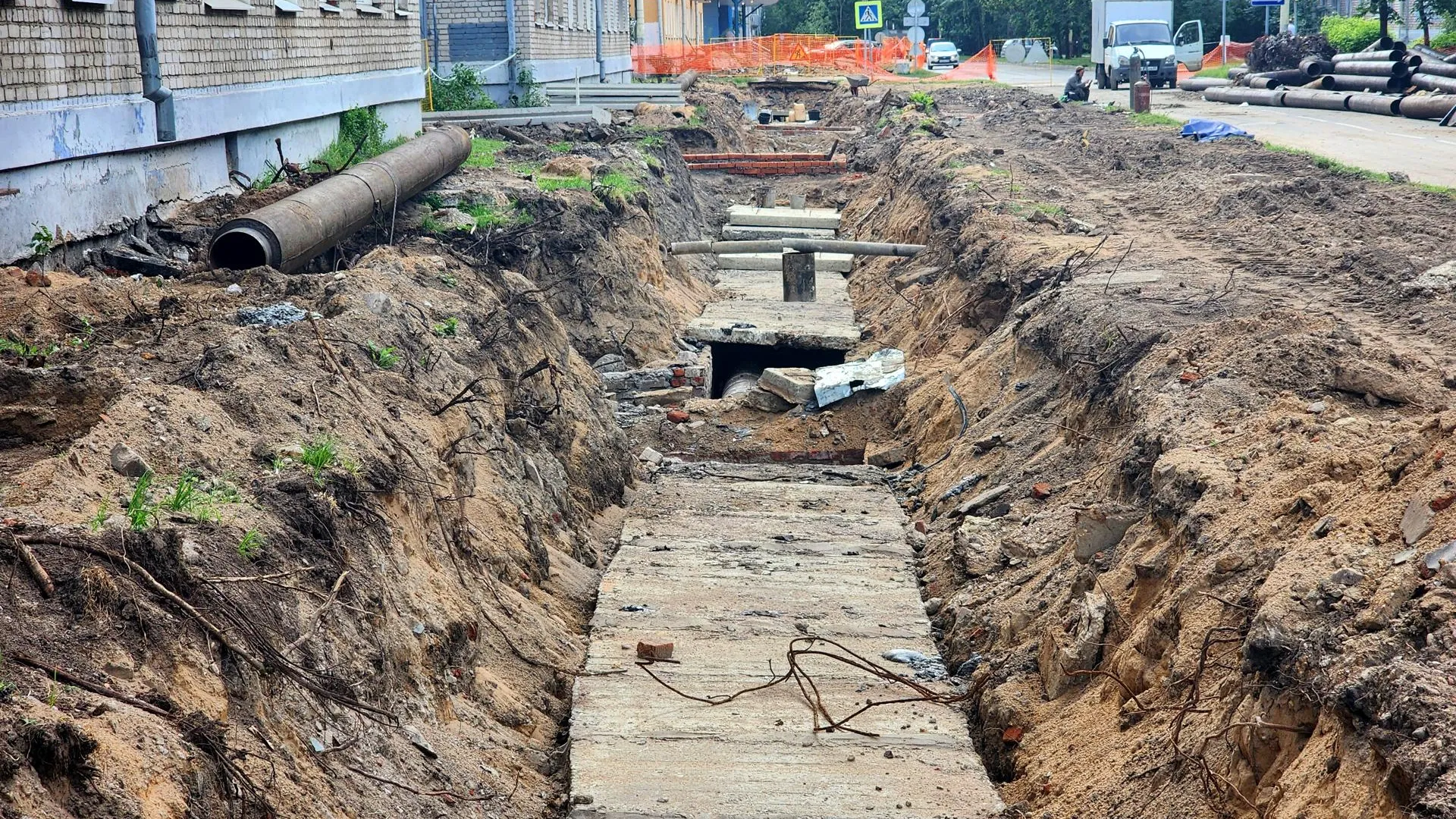 Фото: Полина Пахомова