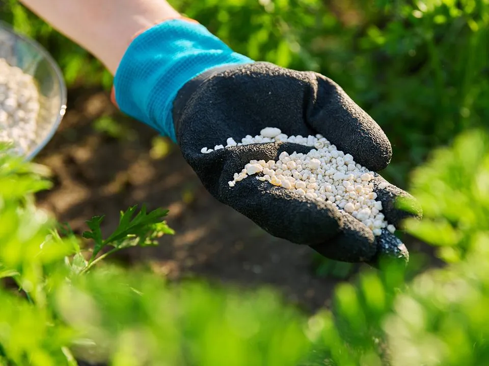 Фото: istockphoto.com