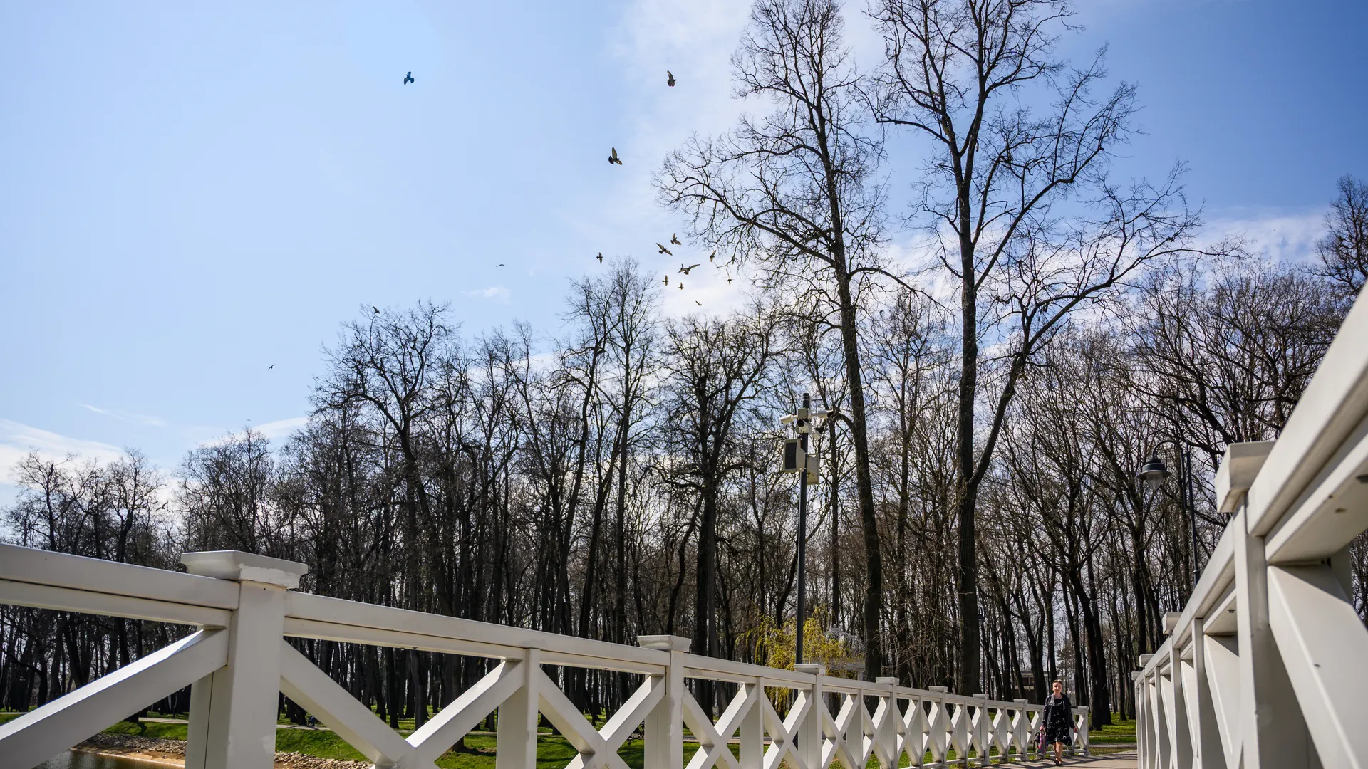 медиасток.рф