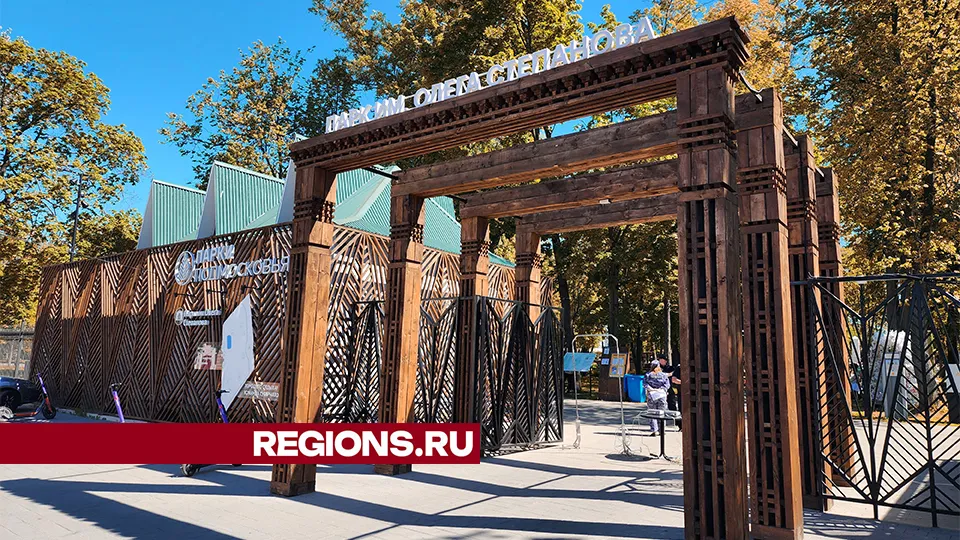 Фото: REGIONS/Александр Степушкин
