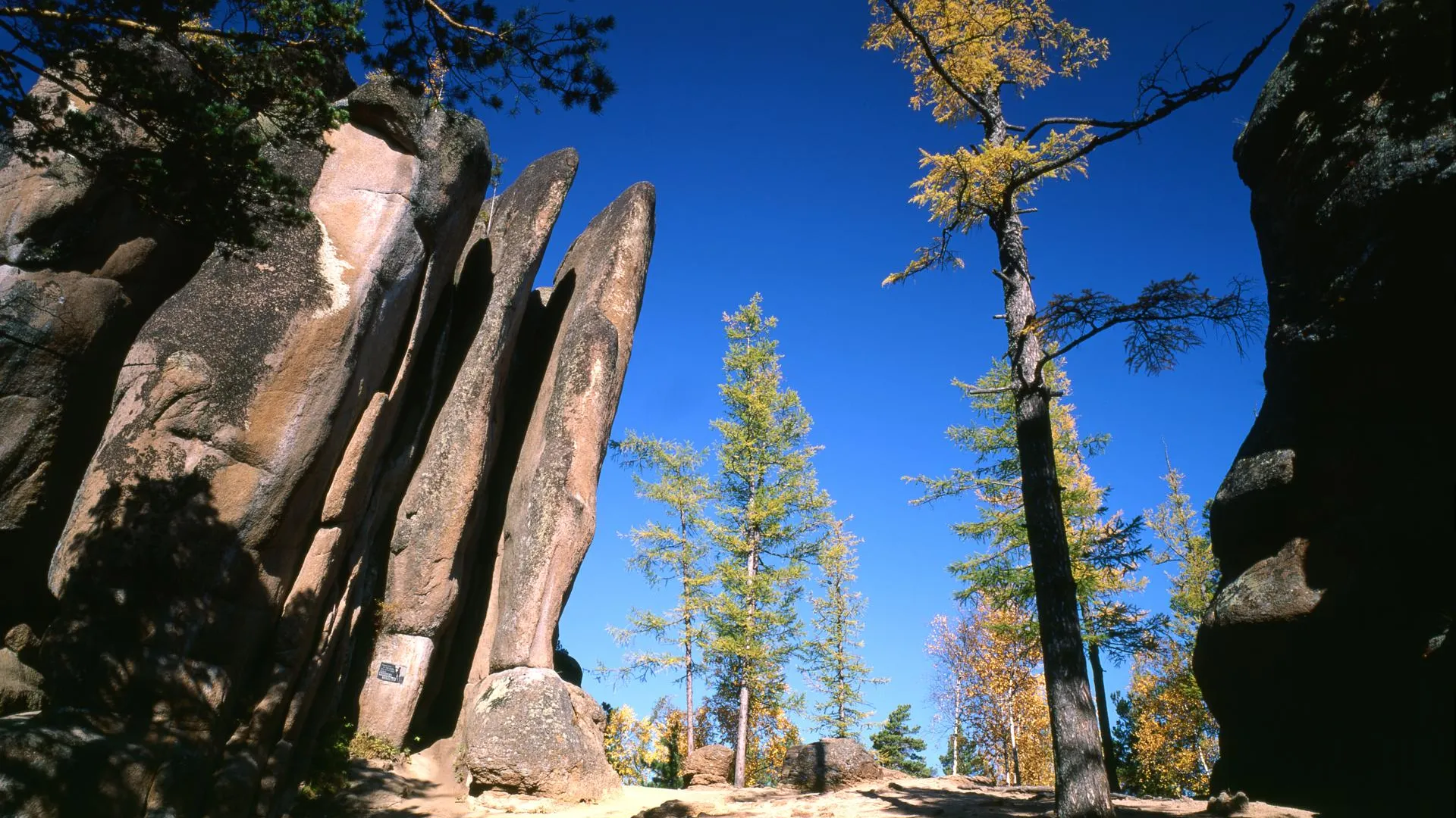Vladimir Skovorodnikov/Russian Look