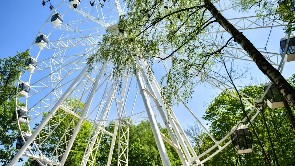 Фото: пресс-служба Администрации г.о. Химки