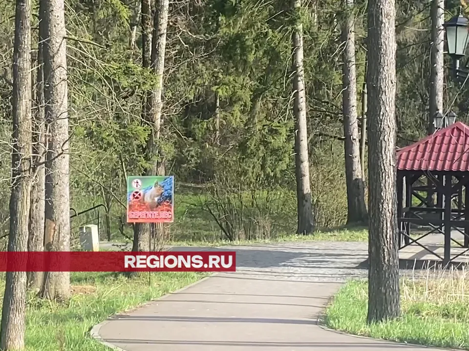 Фото: Елена Аботурова