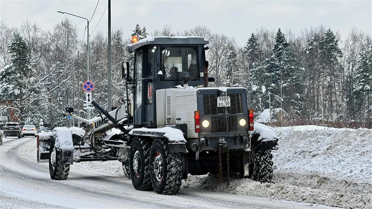 REGIONS/Кристина Тришина