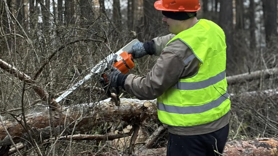 Фото: администрация г.о. Воскресенск