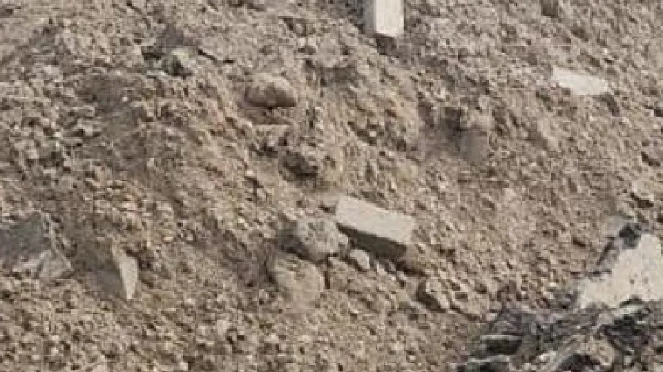 Фото: Минэкологии МО