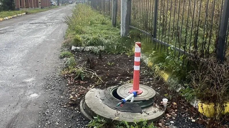 Фото: Министерство экологии и природопользования Московской области