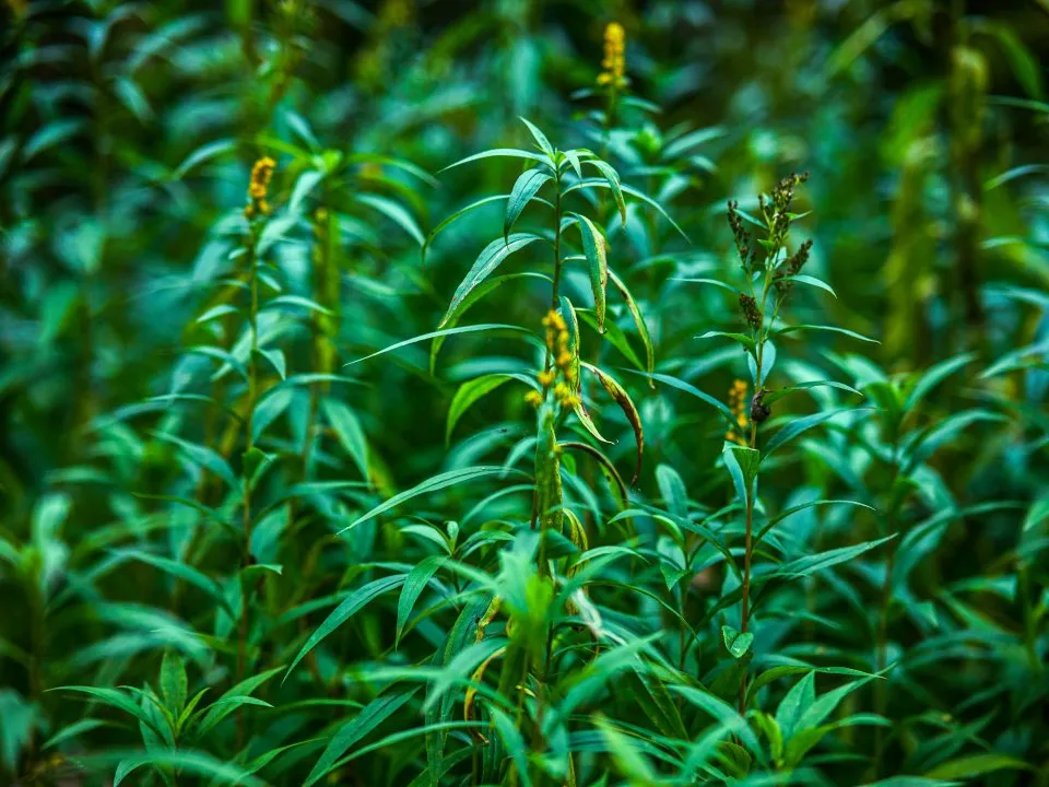 Фото: REGIONS/Владимир Ерастов