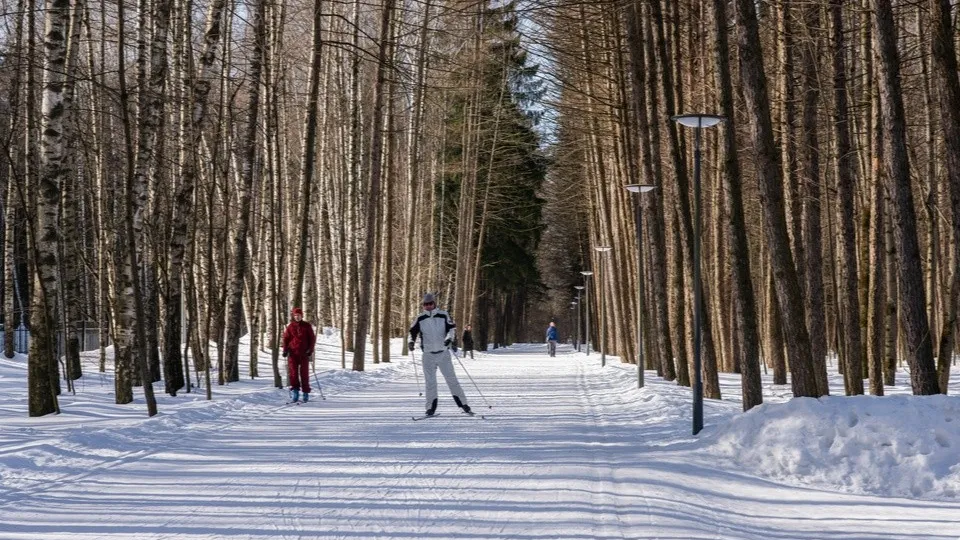 Фото: медиасток.рф
