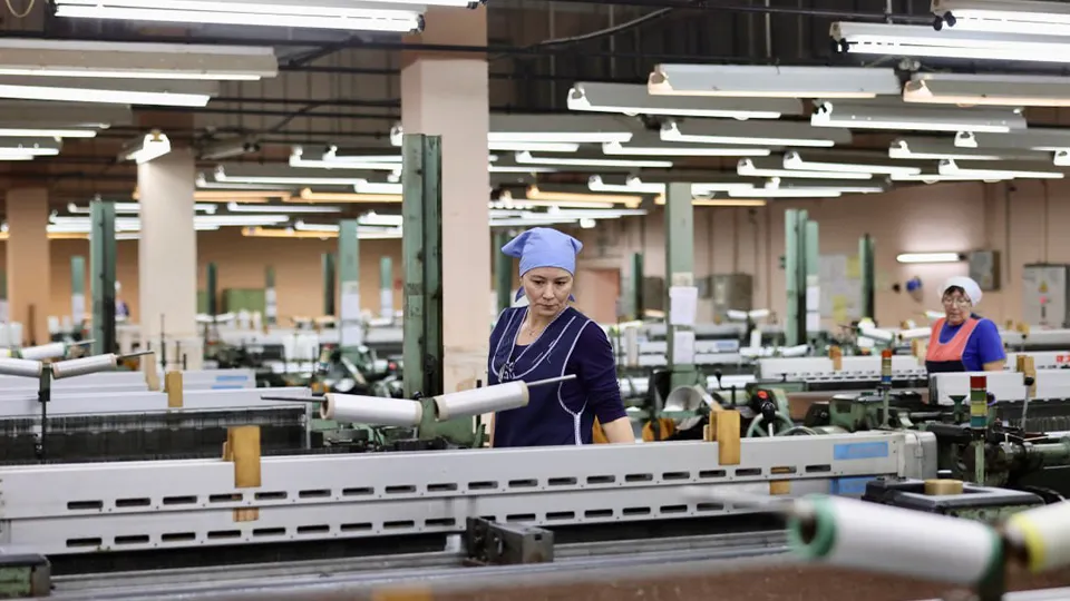 Фото: пресс-служба администрации г.о. Королев