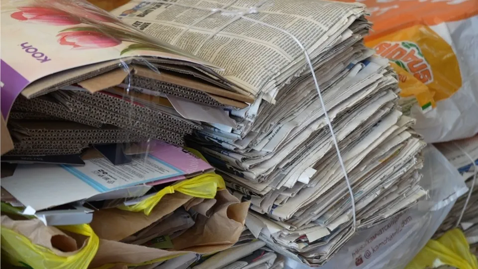 Фото: МедиаБанк Подмосковья/Мария Юдина