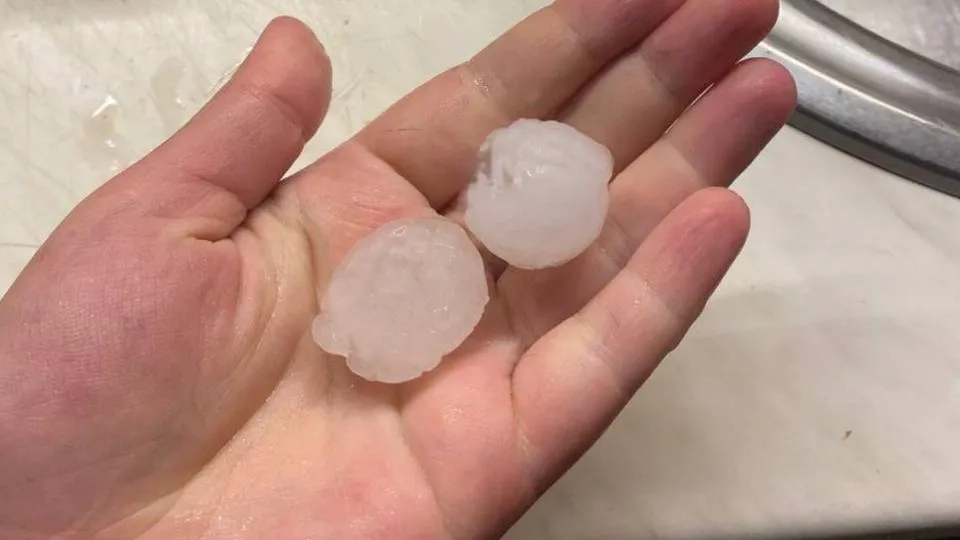 Фото: t.me/hello_istra