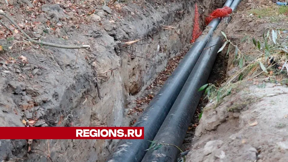 Фото: REGIONS/Василий Тремасов