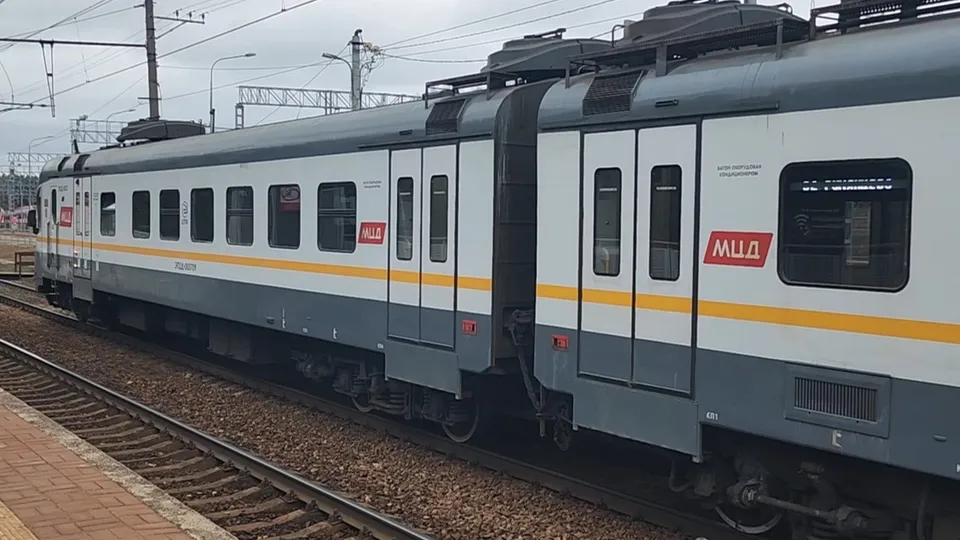 Фото: МедиаБанк Подмосковья/Светлана Борщева