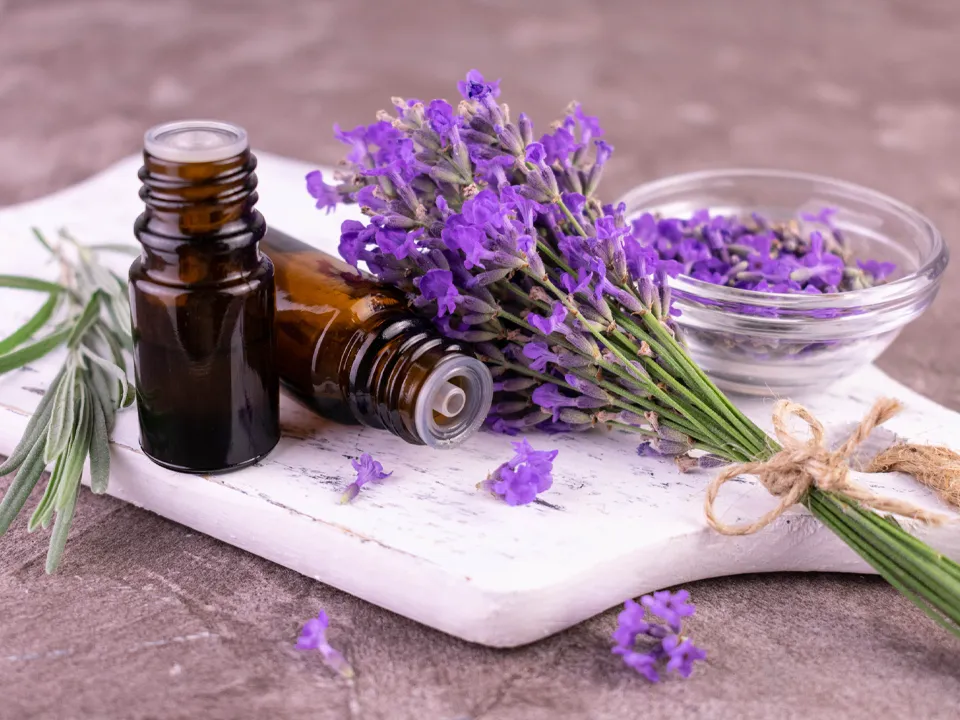 Фото: istockphoto.com